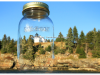 Bear Island Lighthouse in a jar   Todd Burgess