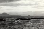 Melville-wade_in_the_water-Flickr