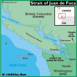 judefuca