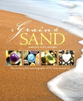 A-Grain-of-Sand-book-Gary-Greenberg-1