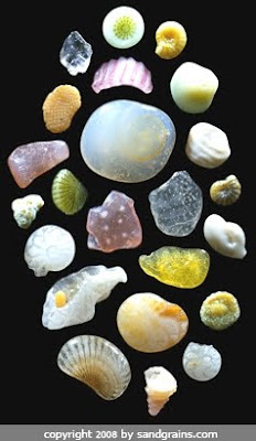 micro-photographs-of-sand
