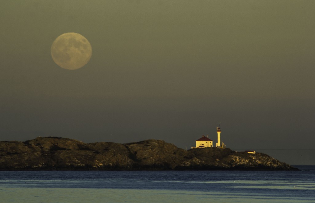 Trial Island Lighthouse under a full moon