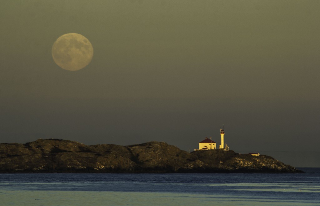 Trial Island Lighthouse under a full moon Trial Island Lighthouse under a full moon