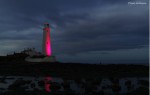 Pink St Mary's Lighthouse by the Chicken Wing - Flickr