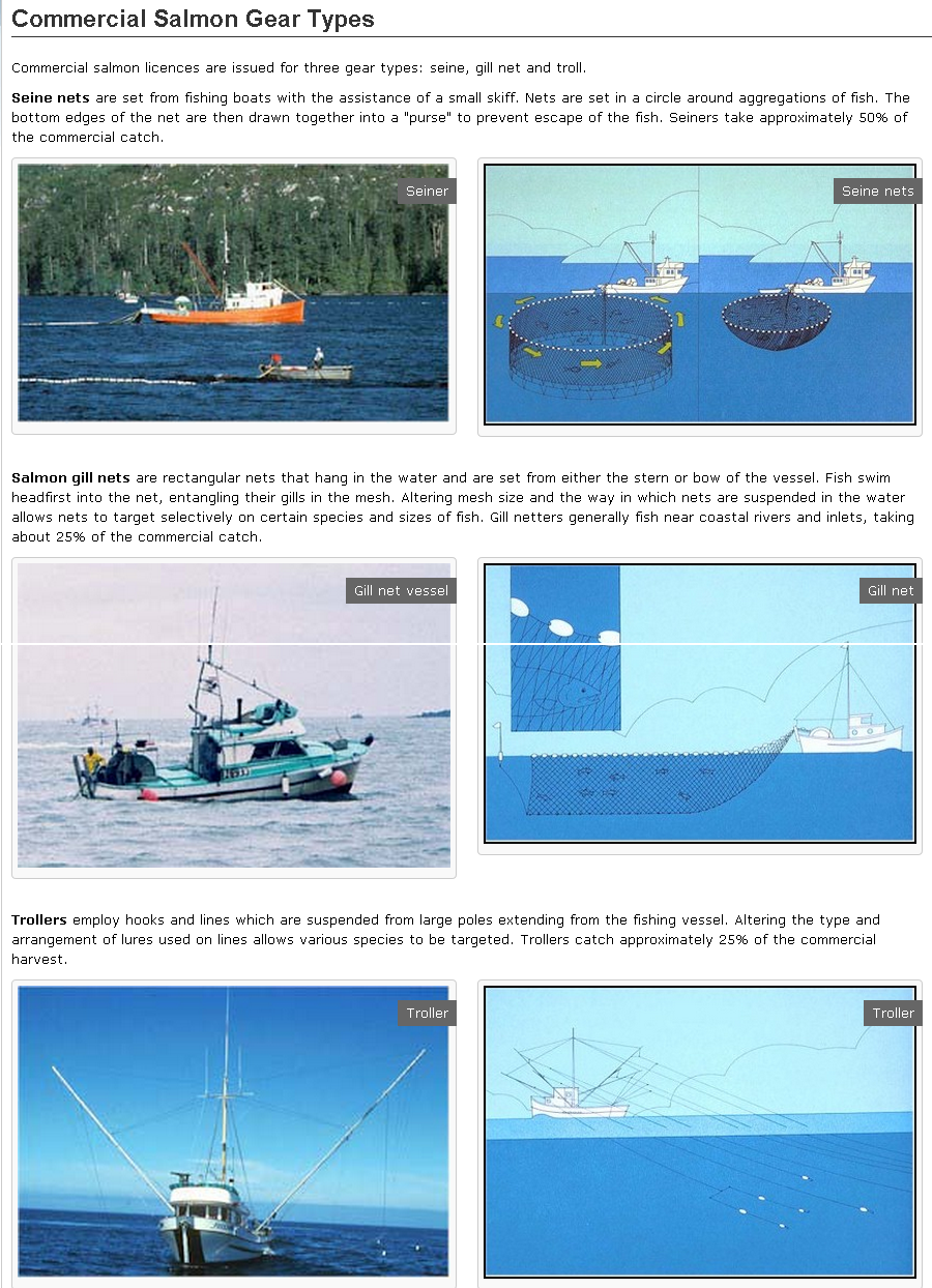 Commercial Salmon Gear Types in the Pacific Region   Fisheries and Oceans Canada