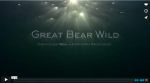 Great_Bear_video